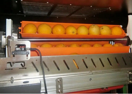 संतरे सेब के लिए काला बाजार फलों का रस वेंडिंग मशीन 800W